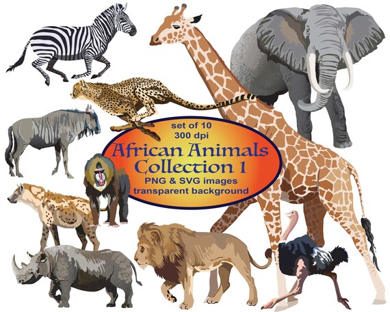 Download African Animals Clip Art Svg Etsy