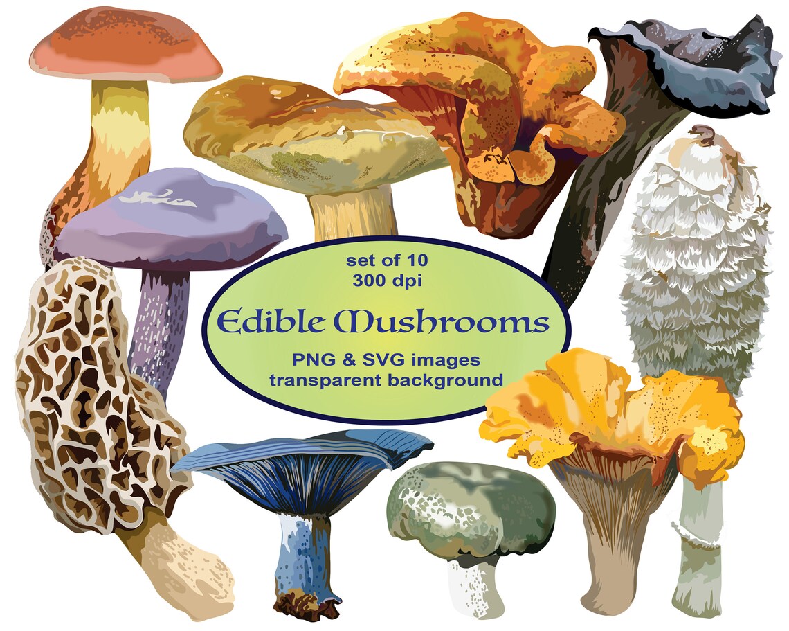 Edible Mushrooms Clip Art SVG Clipart Food Clipart Plants