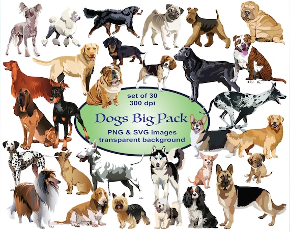 Download Dogs Clipart Svg Clipart Animals Clipart Big Pack Clip Art Etsy