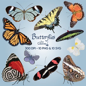 Schmetterlinge Clip Art, Schmetterling Clipart, SVG Clip Art, PNG, Tiere Clipart, Käfer Clipart, Monarch, Glasswing, Tiger Schwalbenschwanz, Florfliege