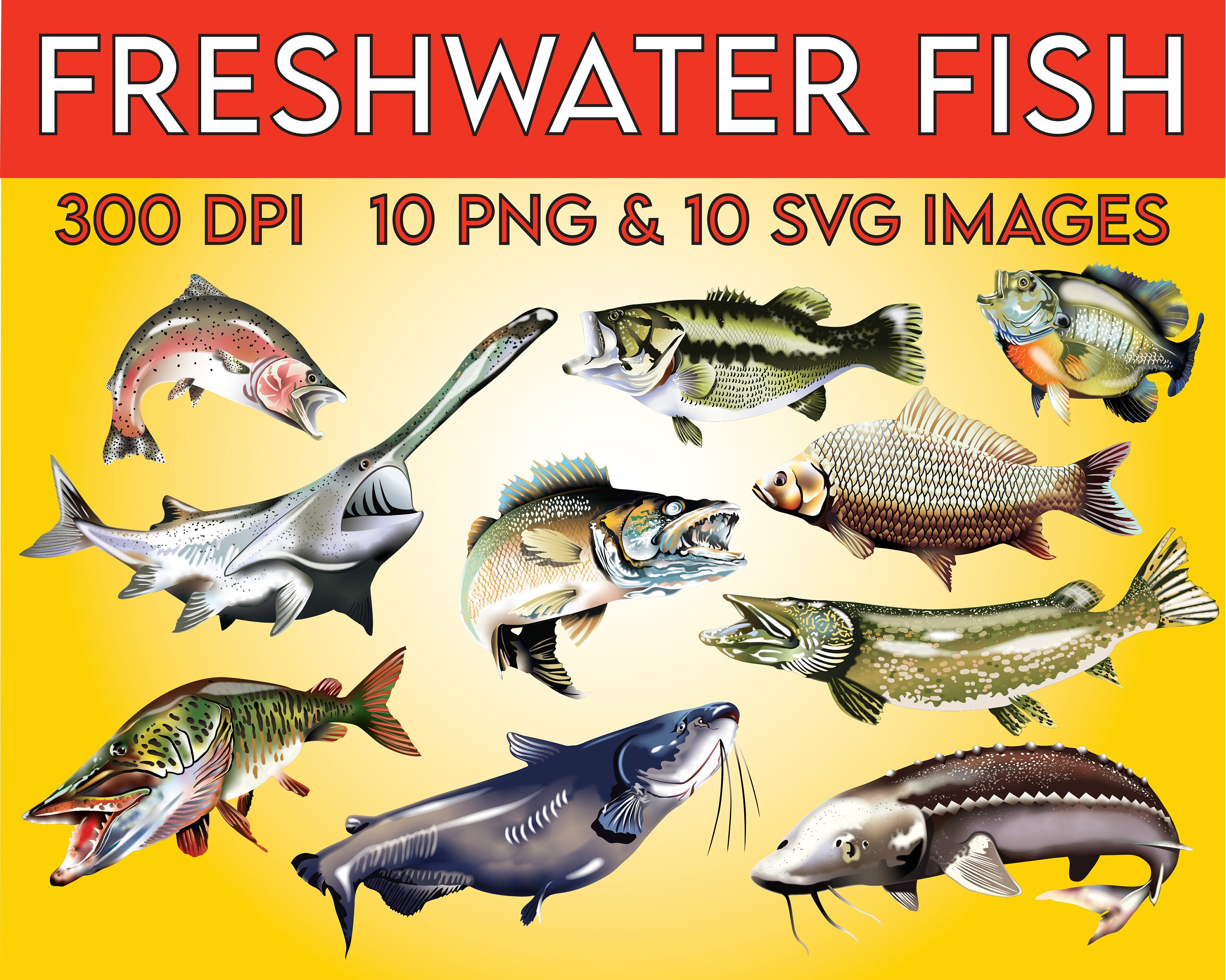 Fishing SVG Freshwater Fish 