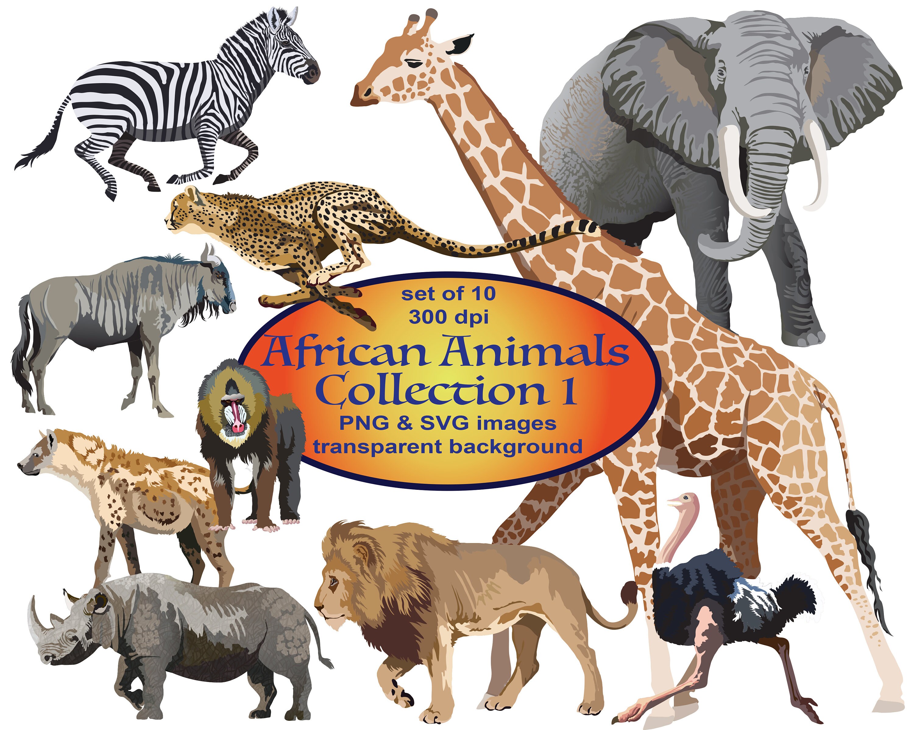 African Animals Clipart SVG Clipart PNG Elephant Clipart - Etsy African Animals Clipart SVG Clipart PNG Elephant Clipart - Etsy
