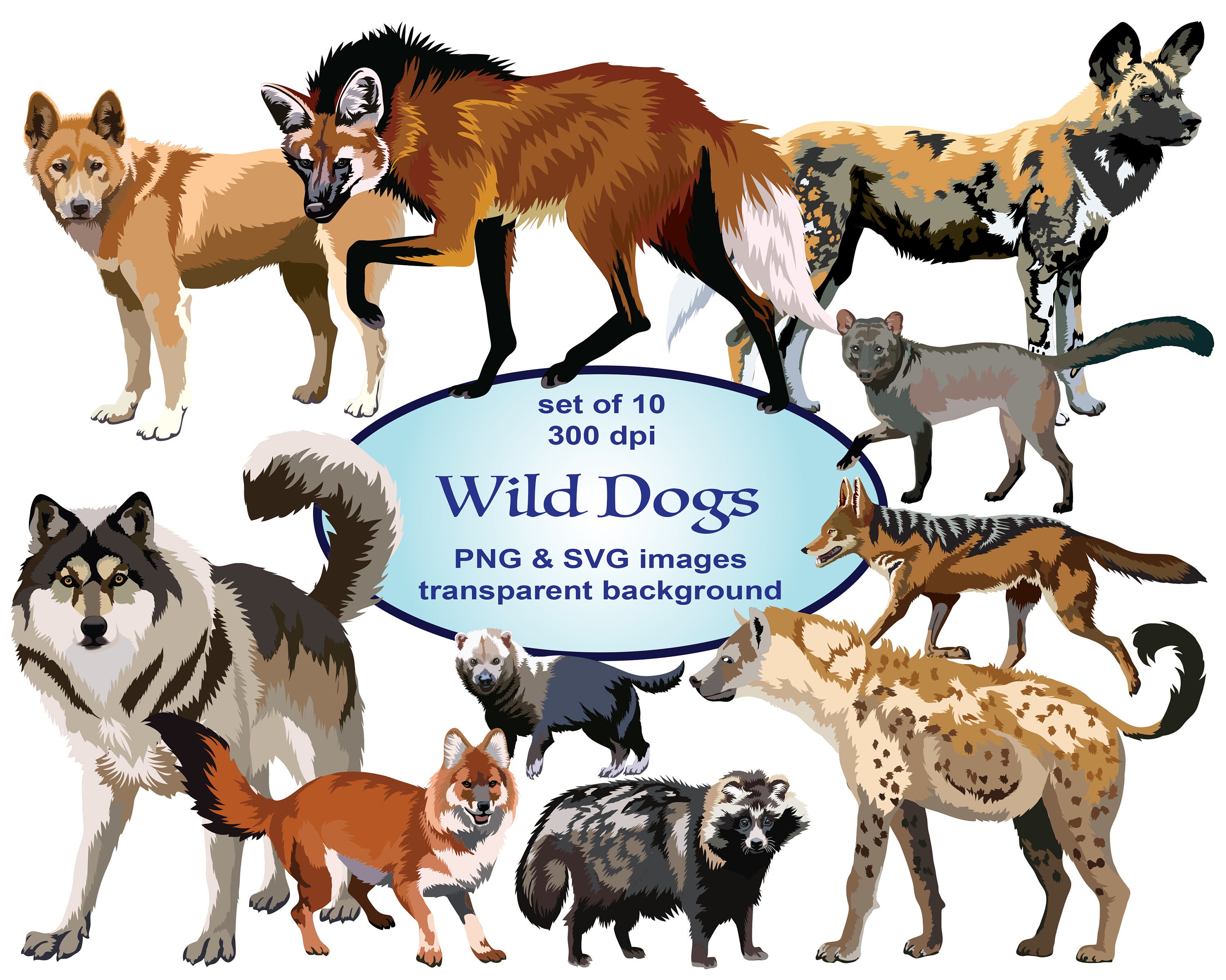 where can i see wild dogs