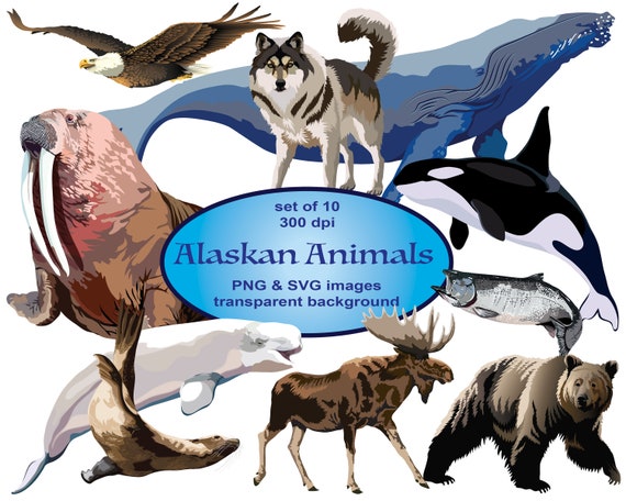 Alaskan Animals Clip Art Moose Clipart SVG Clipart Whales - Etsy Alaskan Animals Clip Art Moose Clipart SVG Clipart Whales - Etsy