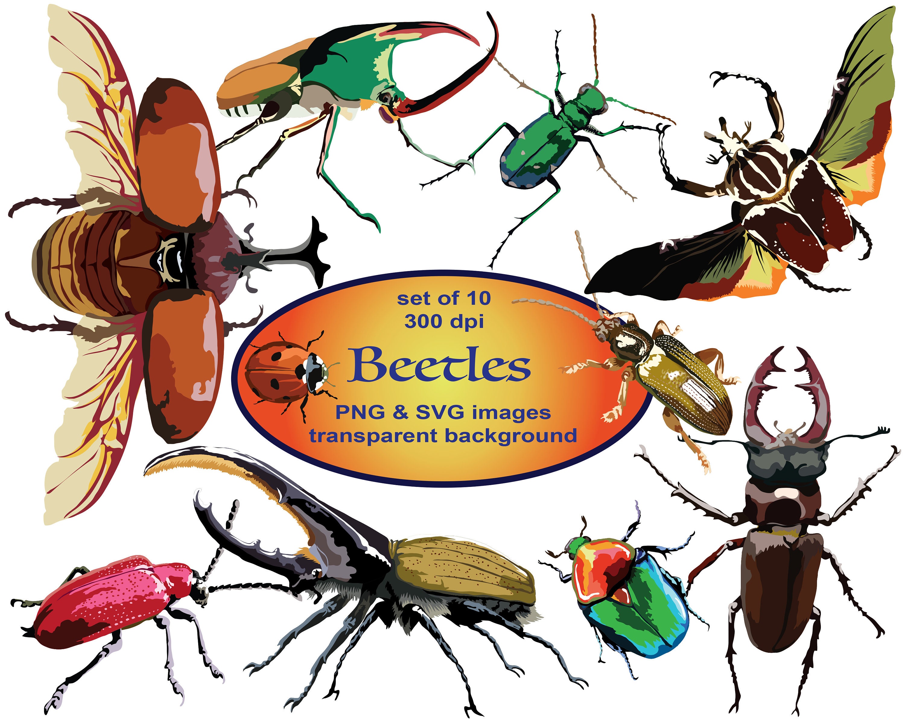 Beetles Clip Art SVG Printable | Etsy