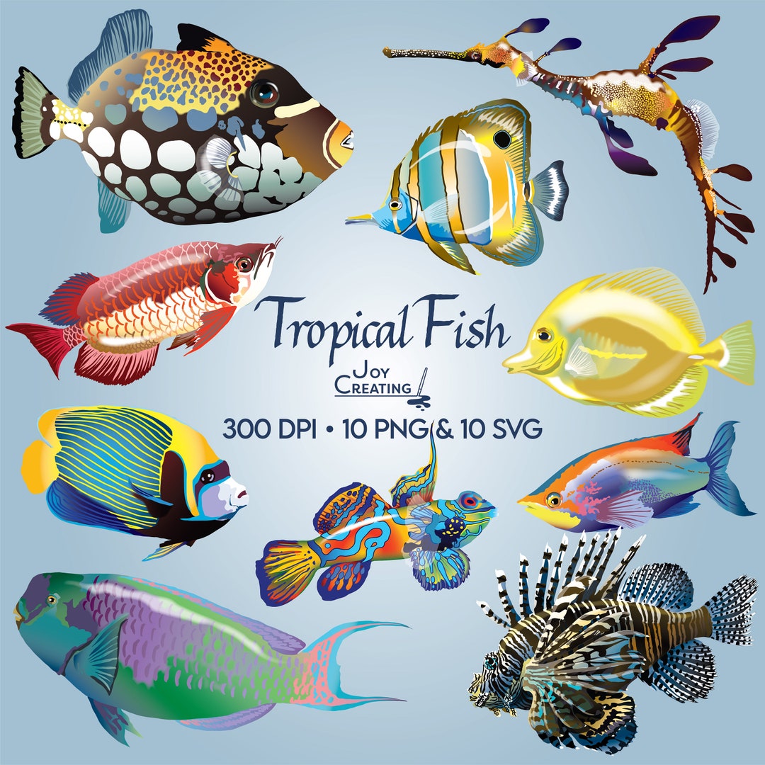 Colorful Tropical Fish Clip Art: Ocean Animal Illustrations (PNG