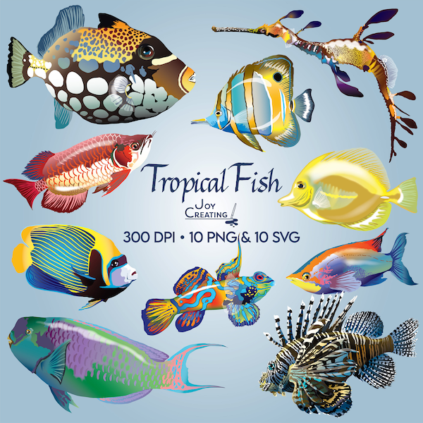 Tropical Fish - Etsy