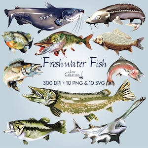 Fishing SVG Freshwater Fish