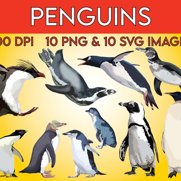Pingouins, clipart oiseaux, clipart animaux, clipart SVG, manchot empereur, sautoir, Little Blue, Galapagos, africain