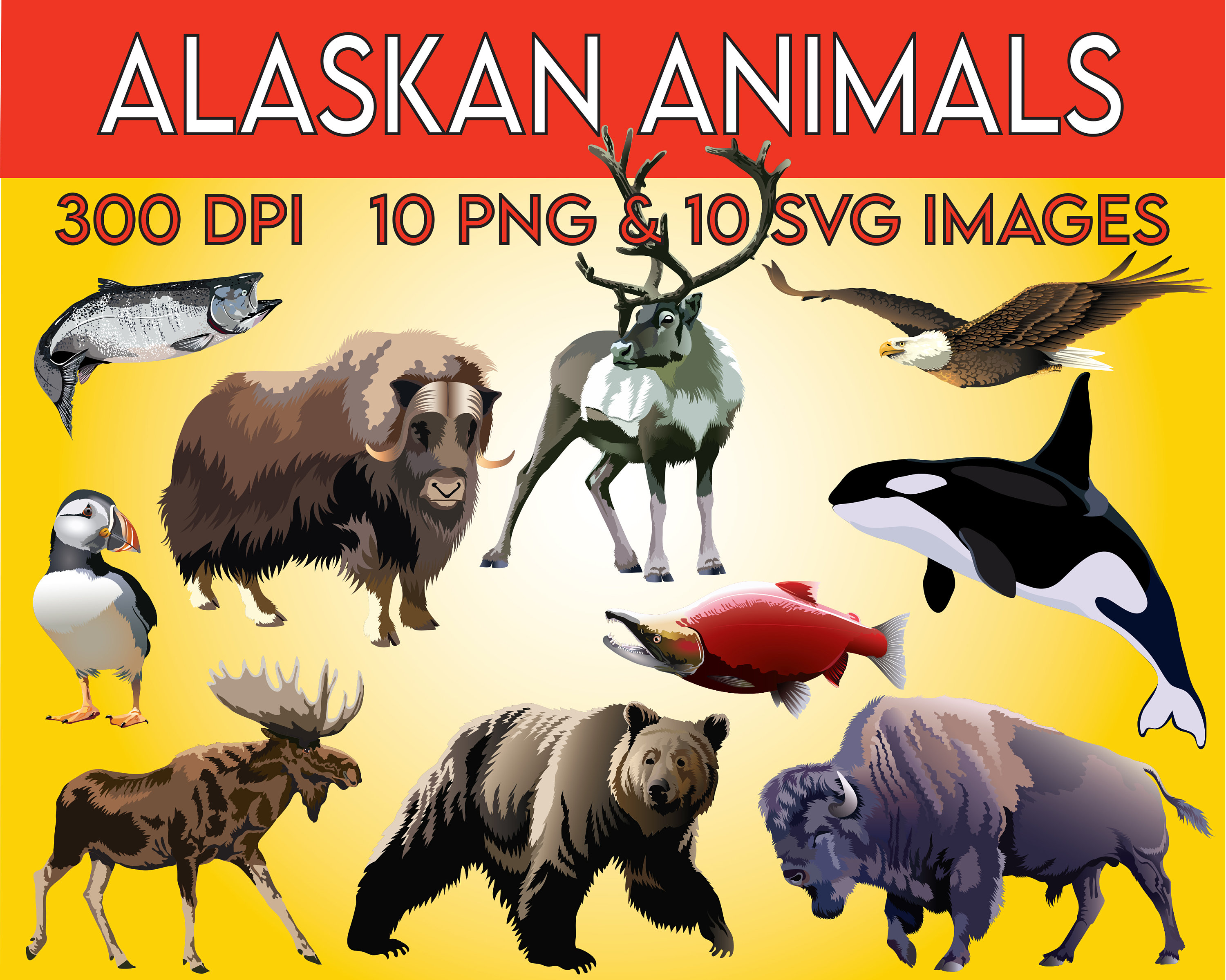 Alaska Animals Clipart For Kids