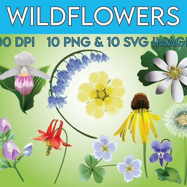 Wildflowers Clipart, Flowers Clipart, SVG Clipart, PNG, Commercial, Columbine, Dandelion, Lady's Slipper, Violet, Bluebells, Teachers!