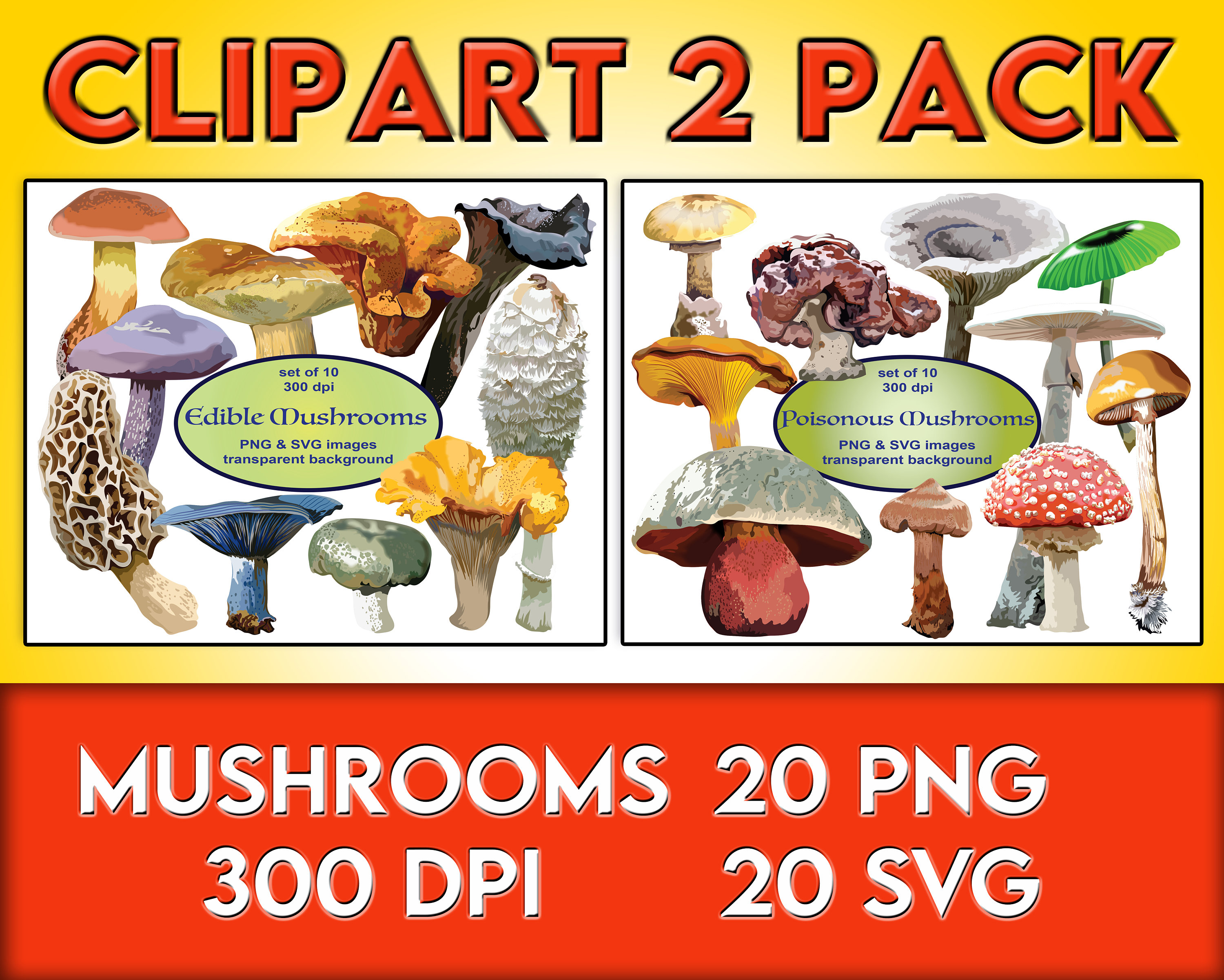 poisonous mushroom images and clipart