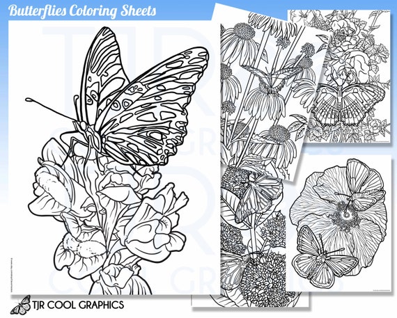 6200 Coloring Pages Adults Butterflies For Free 6200 Coloring Pages Adults Butterflies For Free