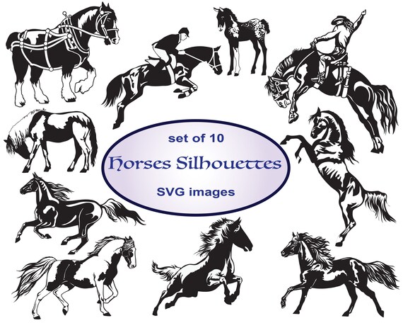 Silhouette Horses Clipart Animals Clipart Svg Clipart Rodeo Etsy