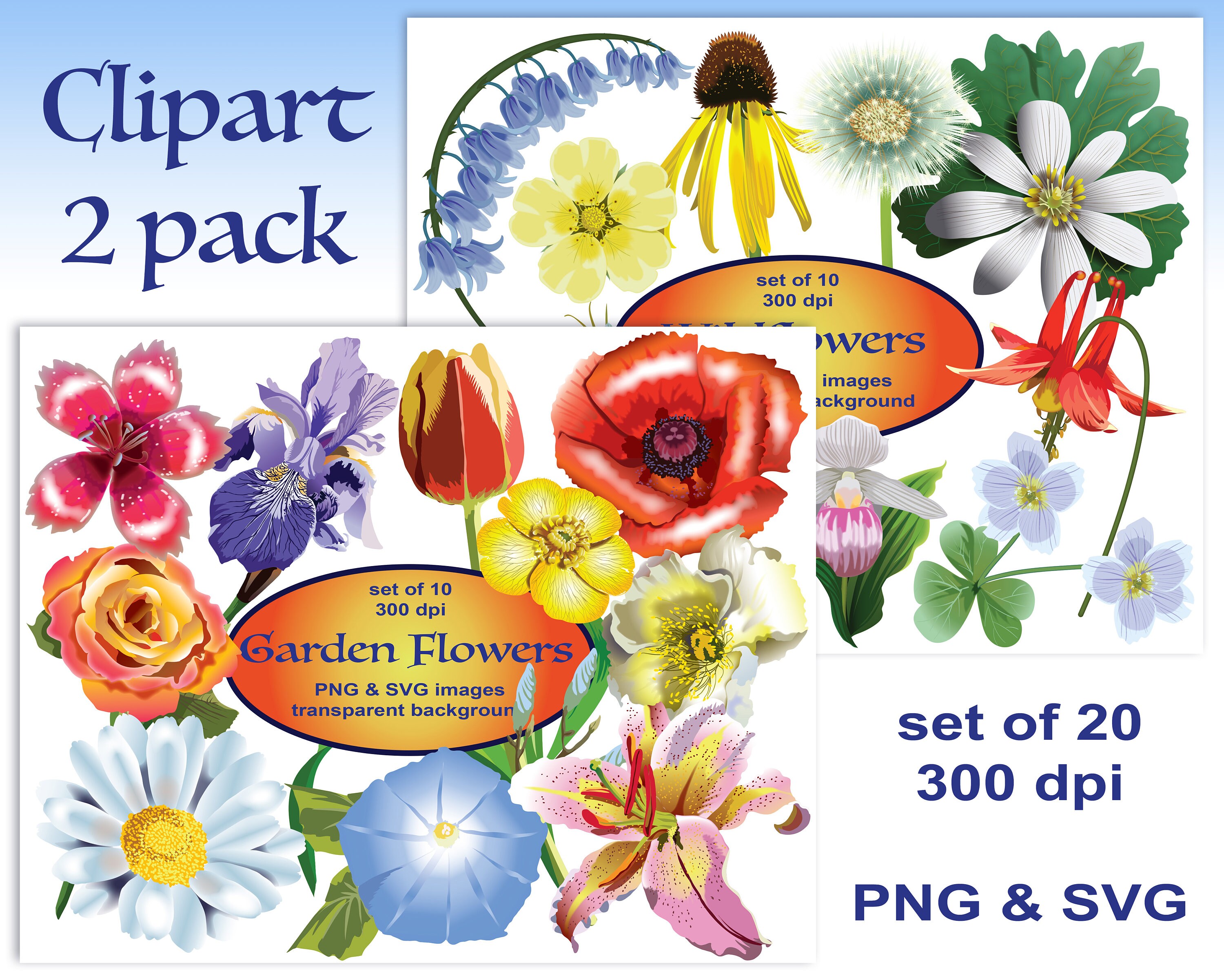 Flowers Clipart 2 Pack Svg Clipart Lily Roses Buttercup Etsy Flowers Clipart 2 Pack Svg Clipart Lily Roses Buttercup Etsy