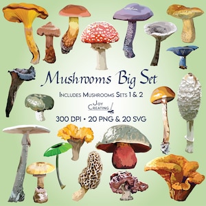 Clipart champignons, nourriture Clip Art, Clipart SVG, PNG, imprimable, commercial, morilles, girolles dorées, bonnet de la mort, amanite des mouches, champignon vénéneux