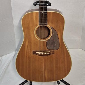 May include: An acoustic guitar with a natural wood finish body, a dark fretboard with white dot inlays, and a black headstock featuring the Orpheum logo. The instrument includes a dark tortoiseshell-style pickguard and a wooden bridge.
