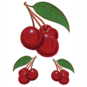 Vinyl Sticker Set; Fruity Cherries Set of 3 For Laptops, Notebooks, Scrapbooking, Craft Projects,Bumper Stickers, Canisters