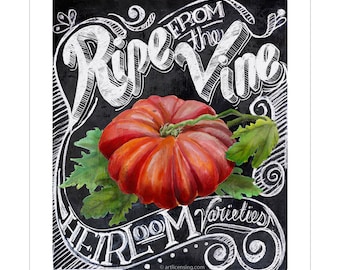 Tomato Ripe Vine Chalk Art Vinyl Sticker