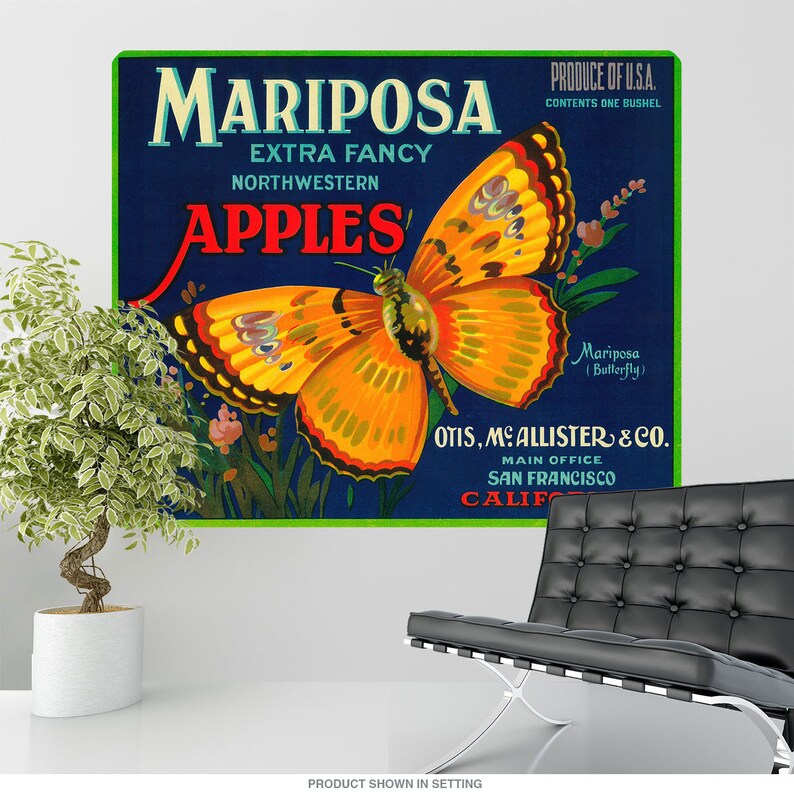 Mariposa Apples Butterfly Wall Decal
