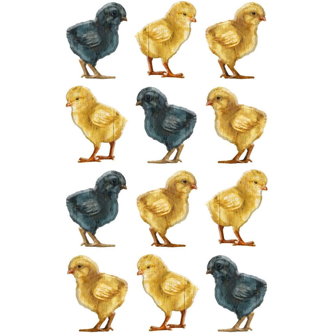 Whimsical Baby Chicks Vinyl Sticker Set - Add Charm to Your ...