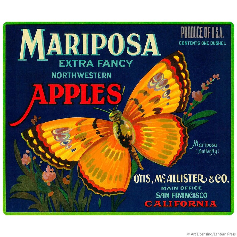 Mariposa Apples Butterfly Wall Decal