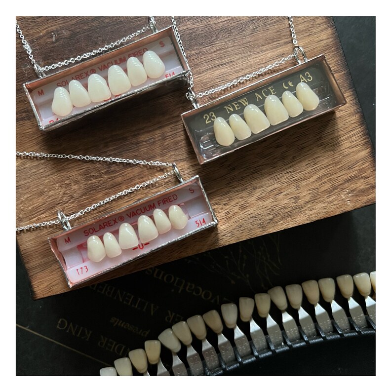 Vintage Denture Tooth Teeth Model Set Handmade OOAK Unique Etsy