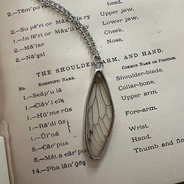 real cicada wing glass necklace