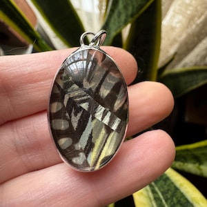 May include: Oval pendant with a silver-colored frame. The pendant features a butterfly wing design with black, white, and yellow patterns. The pendant is held in a hand, with a blurred green and yellow background.