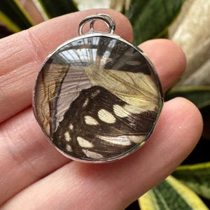 May include: A round, silver pendant featuring a preserved butterfly wing. The wing displays a pattern of brown, cream, and white spots and markings. The pendant has a silver bail for a chain. Jewelry.