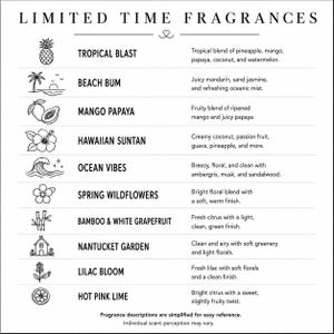 Sulfate-Free Bubble Bath | Multiple Scents | Bath Soak image 5