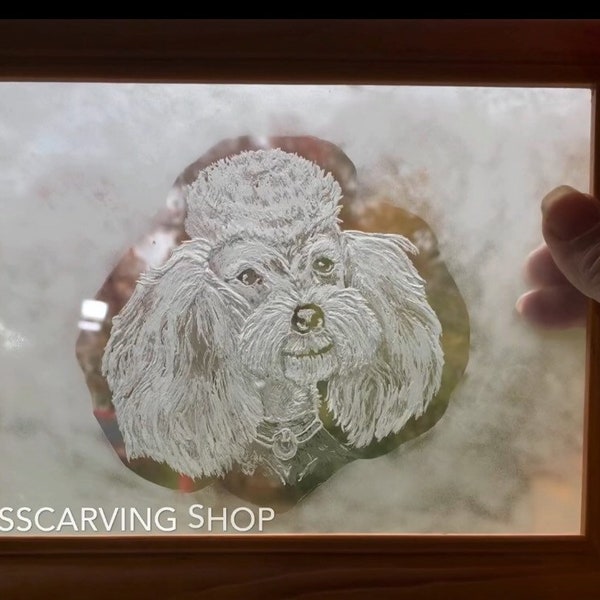 Poodle,hand engraved on stained glass. High Quality, very detailed.  Art to be treasured. Created by glasscarving shop on etsy.com