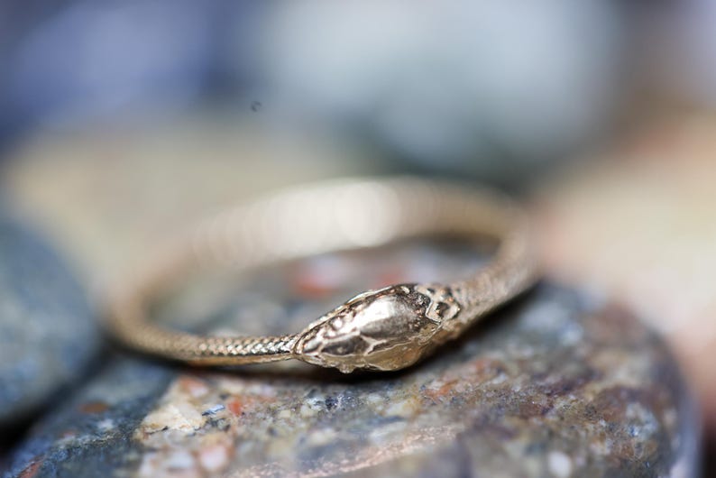 May include: A gold-colored ring in the shape of a snake, resting on a stone surface. The snake's head is detailed with textured scales and a defined eye. The ring's body curves around, creating a complete circle.