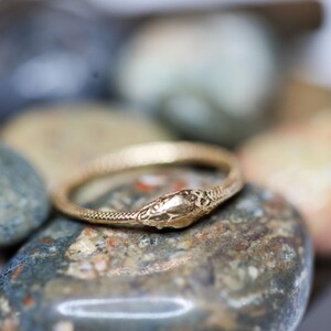 May include: A gold-colored ring in the shape of a snake, with detailed scales and a textured head. The ring is resting on a collection of smooth, colorful stones, creating a natural and elegant display.