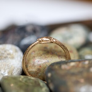 May include: A gold-colored ring in the shape of a snake, with detailed scales and a snake head. The ring is set against a backdrop of various smooth, colorful stones, creating a natural and textured contrast.