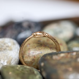 May include: A gold-colored ring in the shape of a snake, with detailed scales and a snake head. The ring is set against a backdrop of various smooth, colorful stones, creating a natural and textured contrast.