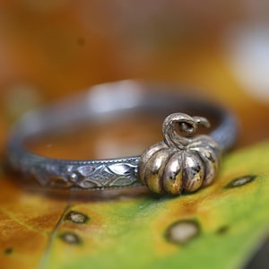Peut inclure: Une bague en argent avec une bande détaillée et un charm en forme de citrouille de couleur or. La citrouille a une surface texturée et une tige enroulée. La bague est posée sur un fond flou de feuillage d'automne.