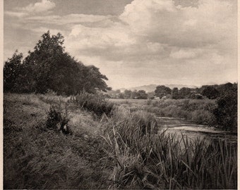 1905 Photogravure, A Horsley Hinton, Paisaje, Pictórico británico