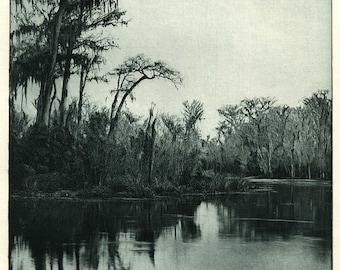 The Photographic Times 1890, Maximilian Toch Photogravure, On the Ocklawaha, Florida