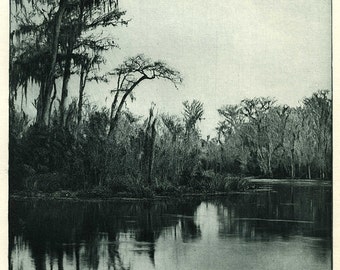 The Photographic Times 1890, Maximilian Toch Photogravur, On the Ocklawaha, Florida
