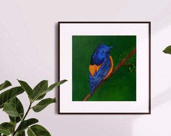 Bird printable art, Blue-fronted redstart, Digital download, Colorful print, Instant download, Bird art print, Printable wall art, 3 files