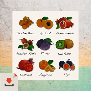Digital download, Kitchen fruit poster, Instant Download, Fruits art print, Colorful print, Fruit illustration image 6