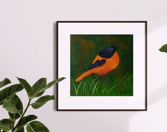 Bird art print, Digital download, black and orange Flycatcher, colorful print, Instant download, Printable wall art, 3 files