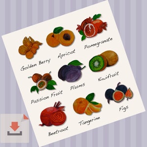 Digital download, Kitchen fruit poster, Instant Download, Fruits art print, Colorful print, Fruit illustration image 2