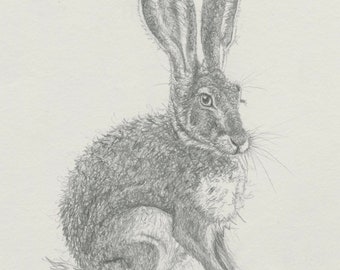 The Hare Paper Print
