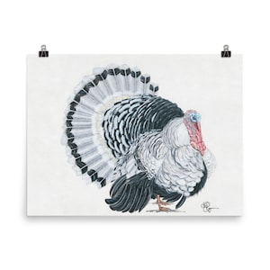 Black and White Turkey Paper Print