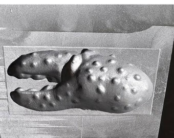 Lobster Claw Pour In Of Blow In mold~