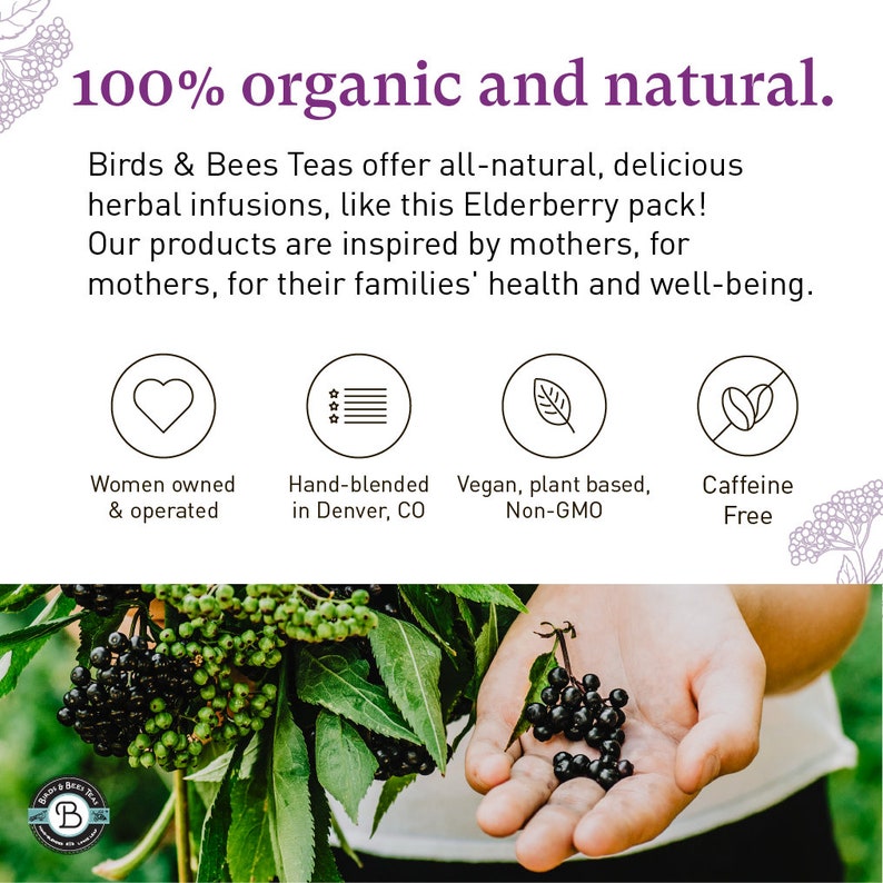 Elderberry Organic Whole Organic Elderberries Dried Elderberries Bulk