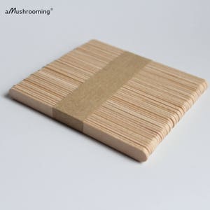 Personalized Popsicle Sticks Laser Engraved Wooden Popsticks, Decor for Parties Celbrations Cake Pop Sticks image 4