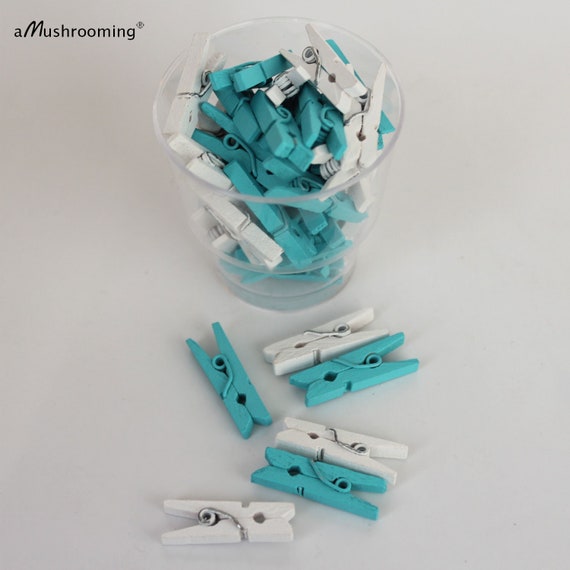 Mini Decorative Clothespins Aqua Blue Wood Clothes Pegs Candy Etsy
